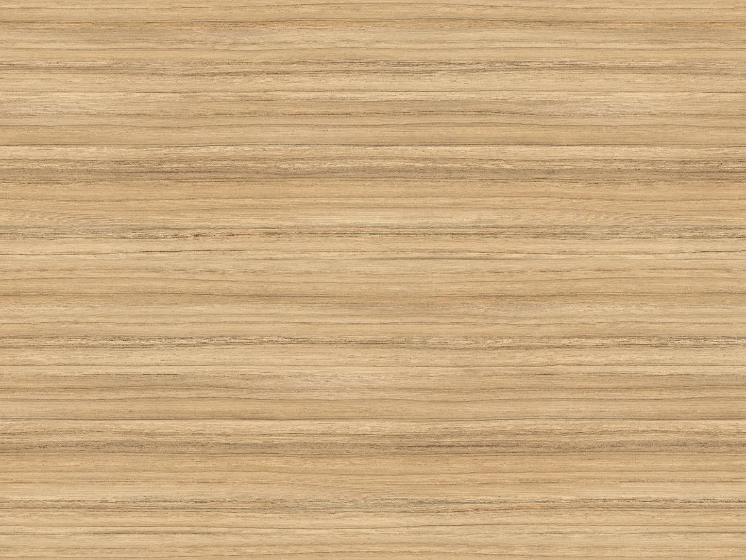 Canto ABS Coco Bolo 23 x 0,4 mm